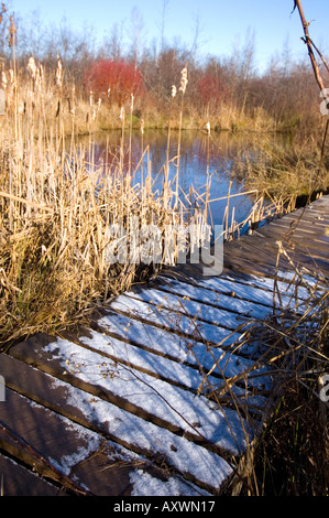Passerelle couverte de gel et de neige à Cambridge Narrows New Brunswick Canada Banque D'Images