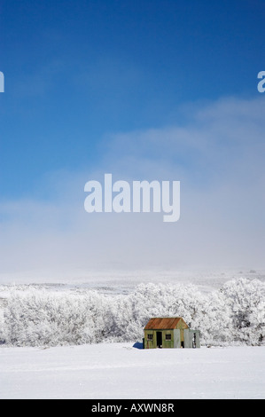 Ancien hangar et de saules en givre Idaburn Maniototo ile sud Nouvelle Zelande Banque D'Images