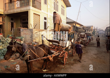 Taxi tiré par des chevaux, broche Oo Lwyn, Myanmar (Birmanie), l'Asie Banque D'Images