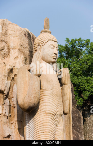 Giant statue de Bouddha Debout, la main gauche levée la robe symbolisant la réincarnation, Aukana, Sri Lanka Banque D'Images