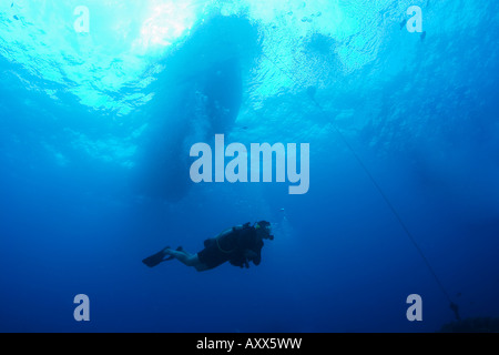 Un plongeur près de lanai, Hawaii Banque D'Images