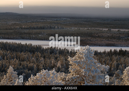 Vue du haut des Vaattunkivaara la colline sauvage hiver à Rovaniemi, Laponie finlandaise Banque D'Images