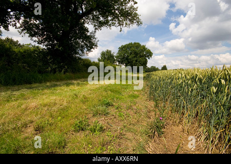 Un ensemble de six mètres de côté sur les terres agricoles de Suffolk Banque D'Images