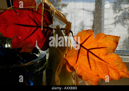 Automne feuilles utilisées pour la décoration intérieure de la fenêtre Banque D'Images
