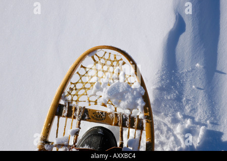 La scène d'hiver avec de la neige fraîche et de pistes pour raquettes et des raquettes au Nouveau-Brunswick Banque D'Images