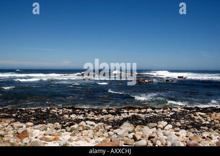 Cap de Bonne Espérance partie de la parc national de table mountain Cape town western cape province afrique du sud Banque D'Images