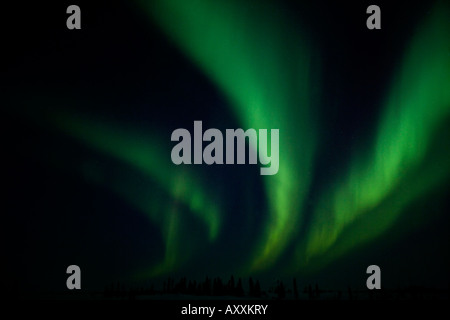 La lumière du nord, Aurora Borealis, Churchill, Manitoba, Canada Banque D'Images