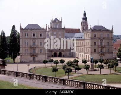 Guanaco, Schloss Ehrenburg, Totale Banque D'Images