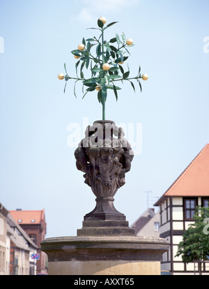 Oranienbaum, Marktplatz, Eisernes Orangenbäumchen Banque D'Images