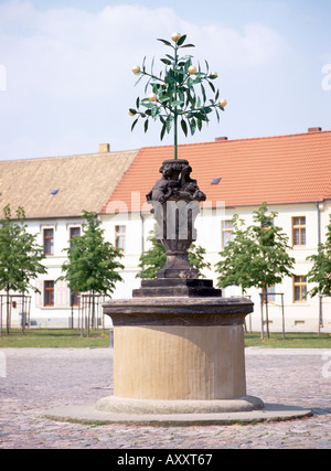 Oranienbaum, Marktplatz, Eisernes Orangenbäumchen Banque D'Images