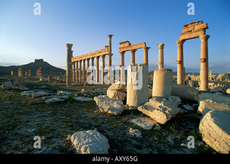 Le site archéologique, Palmyre, Site du patrimoine mondial de l'UNESCO, en Syrie, au Moyen-Orient Banque D'Images
