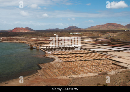 Salinas de Janubio (saline) de Lanzarote dans les îles Canaries. Banque D'Images