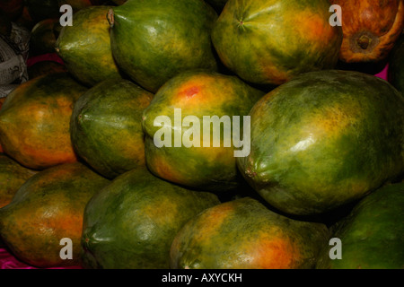 La papaye, Carica papaya L., est membre de la petite famille Caricaceae allié à l'Passifloraceae. Banque D'Images