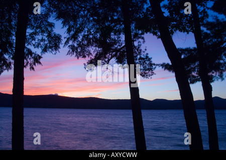 Coucher du soleil à travers les pins, Lake George, les Adirondacks, dans l'État de New York, États-Unis d'Amérique, Amérique du Nord