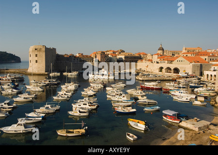 Au bord de la vieille ville de la zone portuaire et les remparts de la ville, classé au Patrimoine Mondial de l'UNESCO, Dubrovnik, Dalmatie, Croatie, Adriatique, Europe Banque D'Images