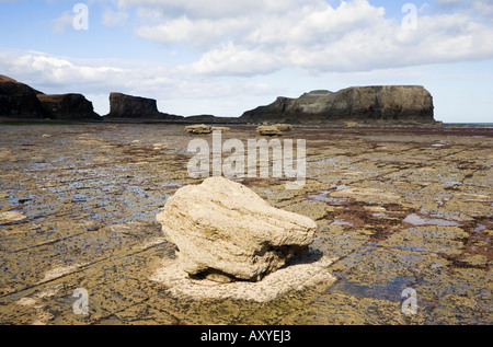 Vue sur la baie d'Saltwick Saltwick à nab près de Whitby, North Yorkshire Angleterre Banque D'Images