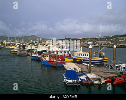 Le comté de Kerry DINGLE RÉPUBLIQUE D'IRLANDE DE L'UNION EUROPÉENNE Septembre les bateaux de pêche et de plaisance dans le port Banque D'Images