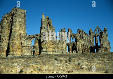 WHITBY, NORTH YORKSHIRE UK Haut Septembre sur les falaises au-dessus de la vieille ville sont les ruines imposantes de l'abbaye de Whitby Banque D'Images