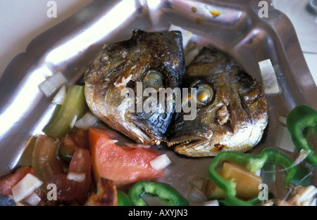 Dorada a la plancha Sanlucar de Barremeda est célèbre pour ses fruits de mer qui sont servi frais Banque D'Images