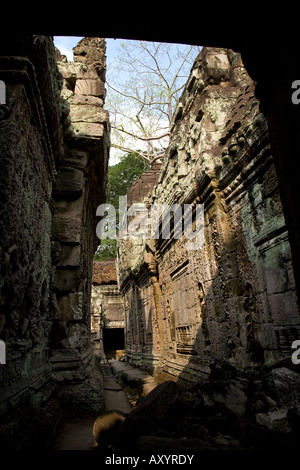 Couloirs en pierre gravée avec des illustrations dans un temple cambodgien près de Angkor Wat Banque D'Images