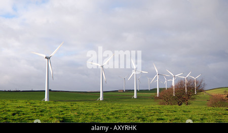 Royd Moor Eolienne UK Banque D'Images