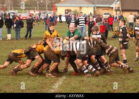 Match de rugby Junior de moins de 12 joueurs scrumage mêlée sous la direction du match arbitre EDITORIAL UTILISEZ UNIQUEMENT Banque D'Images