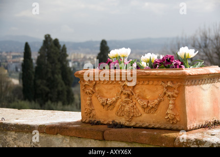 Flowerbox céramique portant l'emblème des Médicis avec pensées et vue de Florence à la Villa Medici la Petraia Banque D'Images