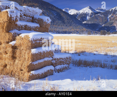 S de l'Oregon et de la vallée de Wallowa bottes de foin dans un outil maison d'automne Banque D'Images