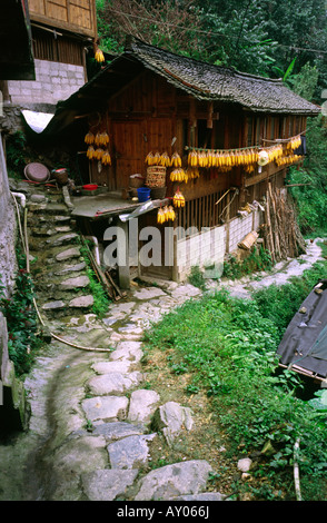 27 août 2006 - Maïs en train de sécher dehors à partir d'une chambre à la minorité Yao village de Ping'an dans la province du Guangxi en Chine. Banque D'Images