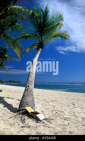 Fort de Montecristo Cigars on Tropical Beach Banque D'Images