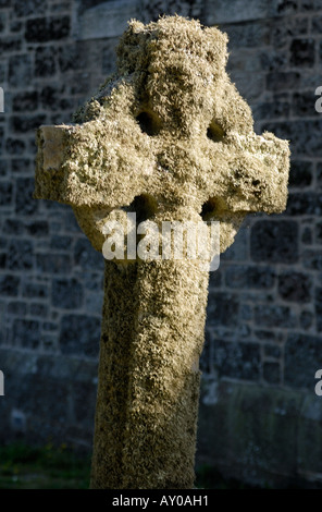 Couverts de lichen croix celtique dans le cimetière de l'église de St Nicholas Tresco Îles Scilly UK Banque D'Images