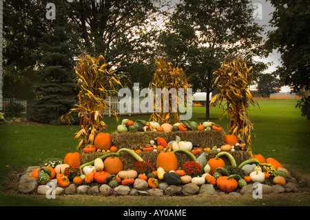 Citrouilles et courges calebasses sur l'affichage dans la cour avant d'une ferme dans le nord de l'Illinois USA Banque D'Images