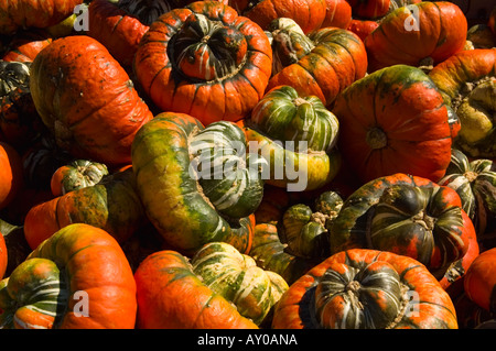 Turk s Turban Squash sur l'affichage à un marché à la ferme dans le nord de l'Illinois USA Banque D'Images