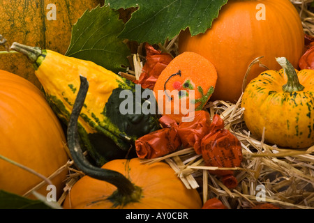 Joyeux Halloween astuce colorée ou traiter avec des citrouilles orange et des bonbons images photos photos Grande haute résolution horizontale aux États-Unis haute résolution aux États-Unis haute résolution Banque D'Images