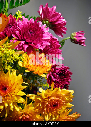 Bouquet jaune de fleurs de chrysanthèmes personne aucune vue avant vue latérale fond d'écran vertical de belles photos affichent une haute résolution verticale Banque D'Images