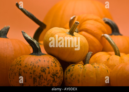 Joyeux Halloween avec les citrouilles oranges et courges de ci-dessus images images grande haute résolution horizontale aux États-Unis haute résolution aux États-Unis haute résolution Banque D'Images