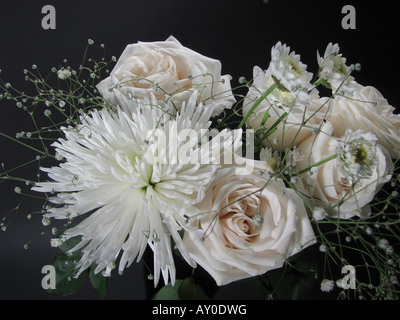 Roses blanches avec chrysanthème dans les fleurs sur fond noir fleurs personne d'au-dessus des arrière-plans premium fond d'écran de luxe horizontal haute résolution Banque D'Images