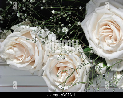 Bouquet de mariage de roses blanches vu de dessus images photos photographie vente pour sur Alamy horizontal aux États-Unis US haute résolution Banque D'Images