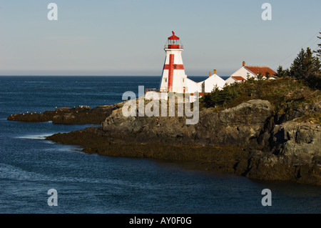 East Quoddy Phare sur petite île à côté de l'île Campobello Nouveau-Brunswick Canada Banque D'Images