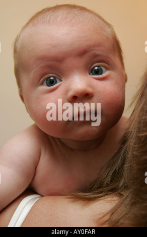 bébés âgés de 7 semaines Banque D'Images