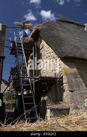 Un toit de chaume de l'homme, Cotswolds, England, UK Banque D'Images