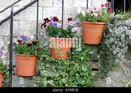 Pots de fleurs sur des marches en pierre à Bradford on Avon Wiltshire Banque D'Images