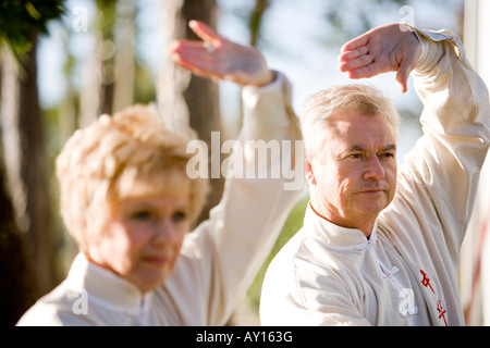 Mature couple performing arts martiaux dans le parc Banque D'Images