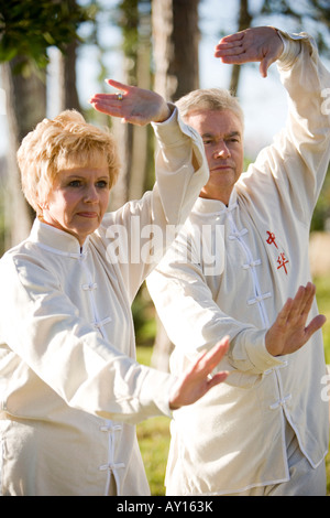 Mature couple performing arts martiaux dans le parc Banque D'Images