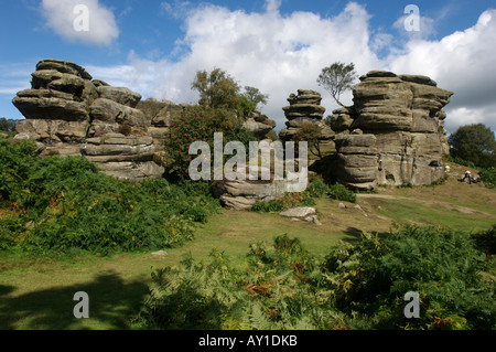 Brimham Rocks, North Yorkshire, Angleterre, Royaume-Uni, Europe. Banque D'Images