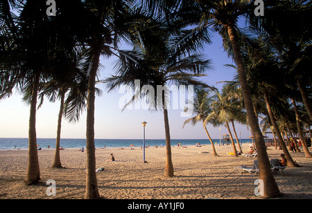 Le Parc de la plage de Jumeirah Dubaï Émirats Arabes Unis Banque D'Images