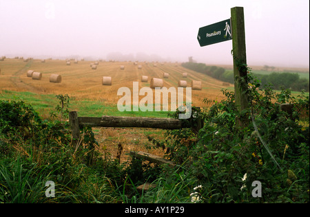 Sentier menant à travers un champ brumeux avec des bottes de paille vers l'immobilier à Dorchester town 2004/2005 du comté de Dorset England UK Banque D'Images