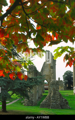 Ancienne Abbaye de Glastonbury ruines et les couleurs d'automne d'un Acer rubrum Red Maple Tree comté de Somerset England UK Banque D'Images