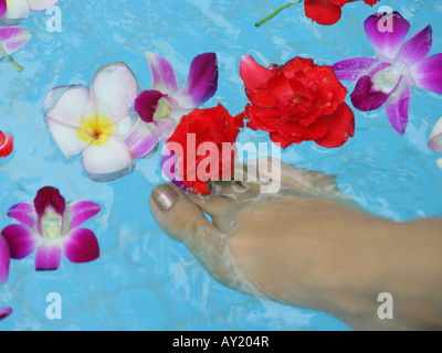 High angle view of a woman's foot immergé dans l'eau avec des fleurs Banque D'Images