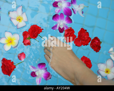 High angle view of a woman's foot immergé dans l'eau avec des fleurs Banque D'Images